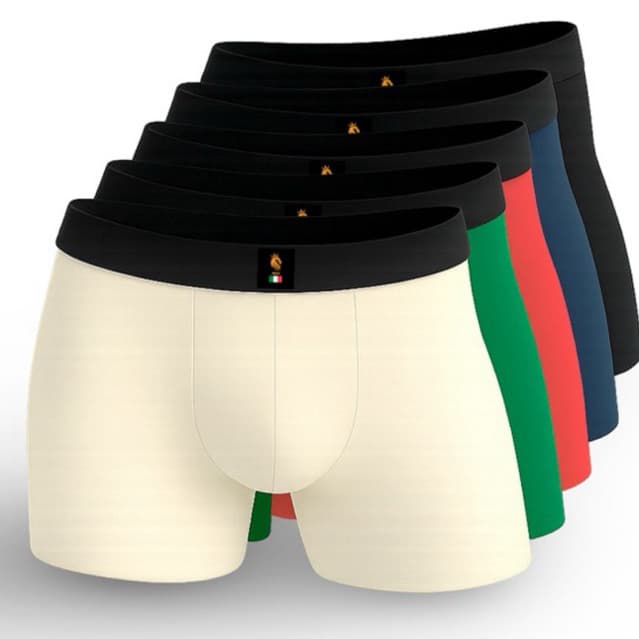 Kit 6 cuecas Boxer Box Adulto Masculina Microfibra Premium + Forro 100% Algodlao