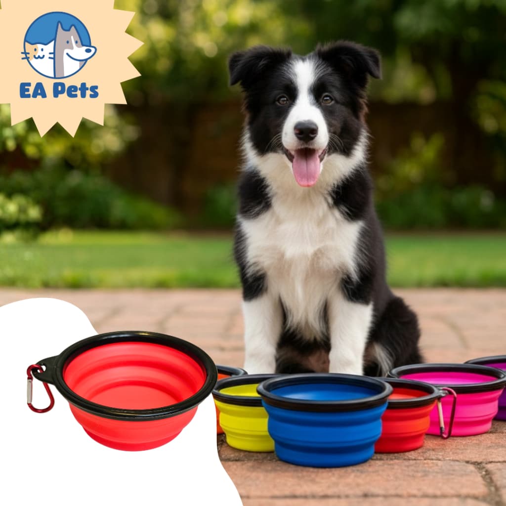 Bebedouro Comedouro Retrátil Silicone para Cachorro Cães Gato Pet Dobrável 350ml com Mosquetão