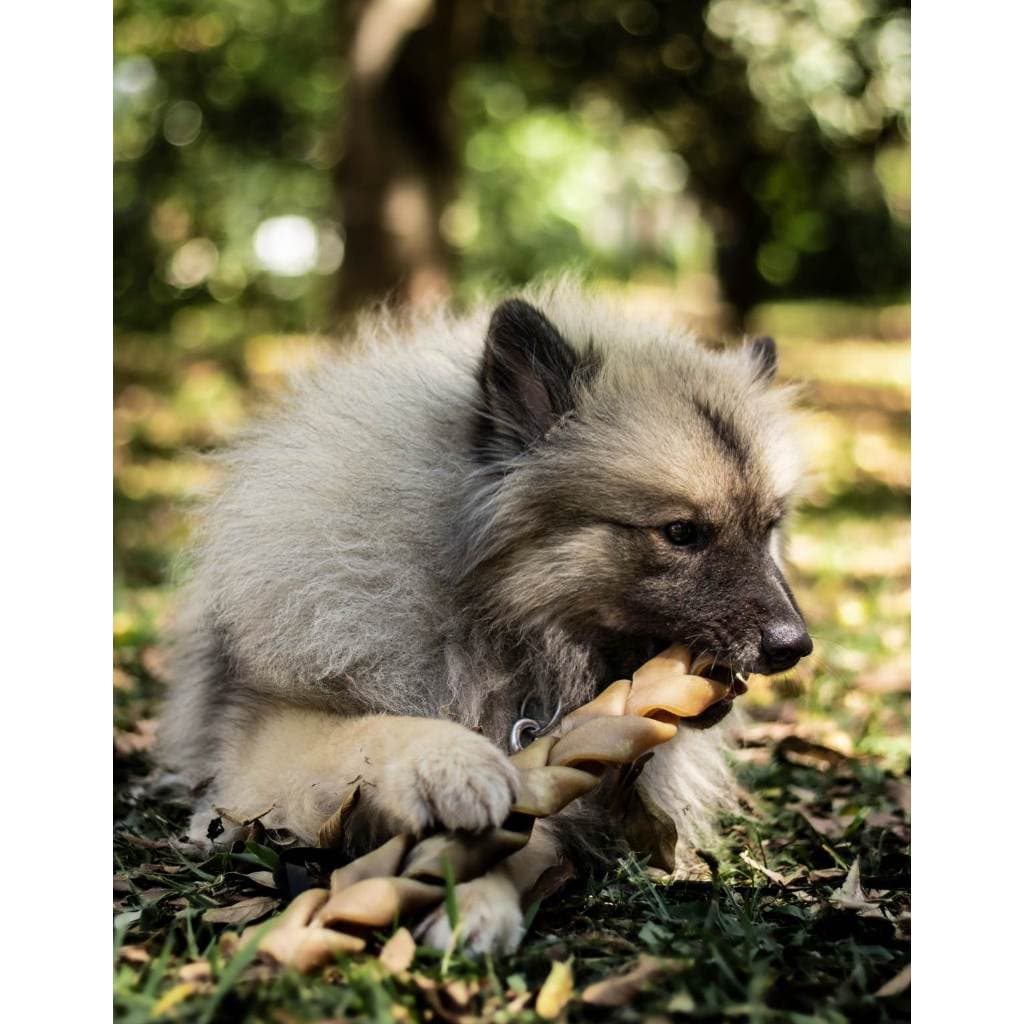 Mordedor Natural Para Cães Natuka Trança Sem Pelos Cachorro Porte Grande