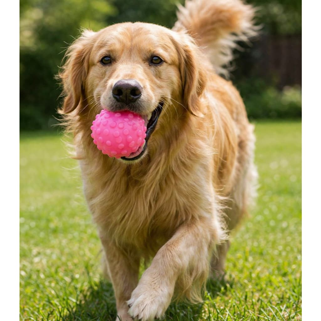 Brinquedo Bola Bolinha Mordedor para Cães Cachorro Cravo Anti-stress Interativa
