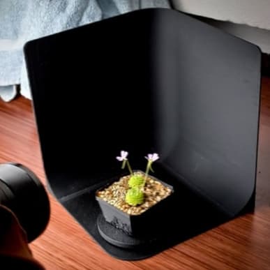 Caixa Estúdio Fotográfico com Fundo Alto – Ideal para Fotos Profissionais