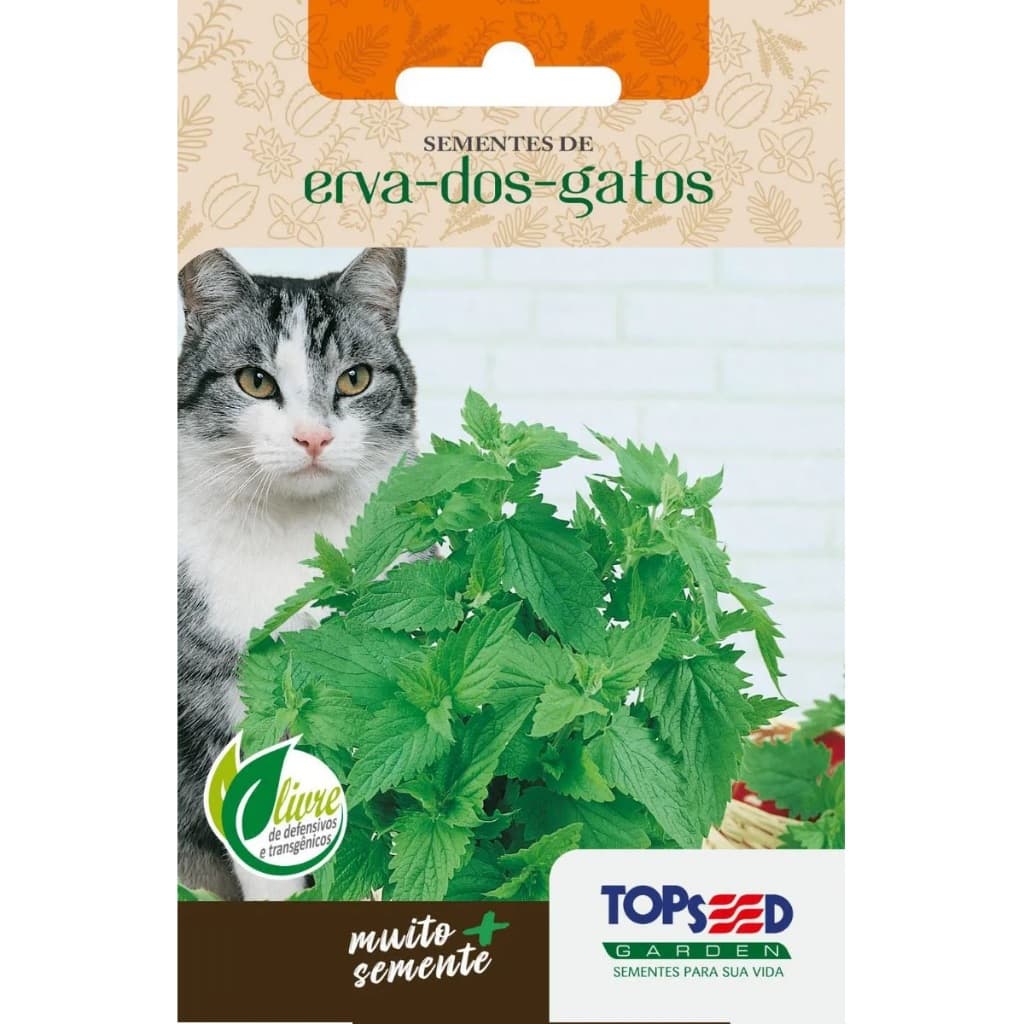 5 sementes erva dos gatos (Nepeta cataria)