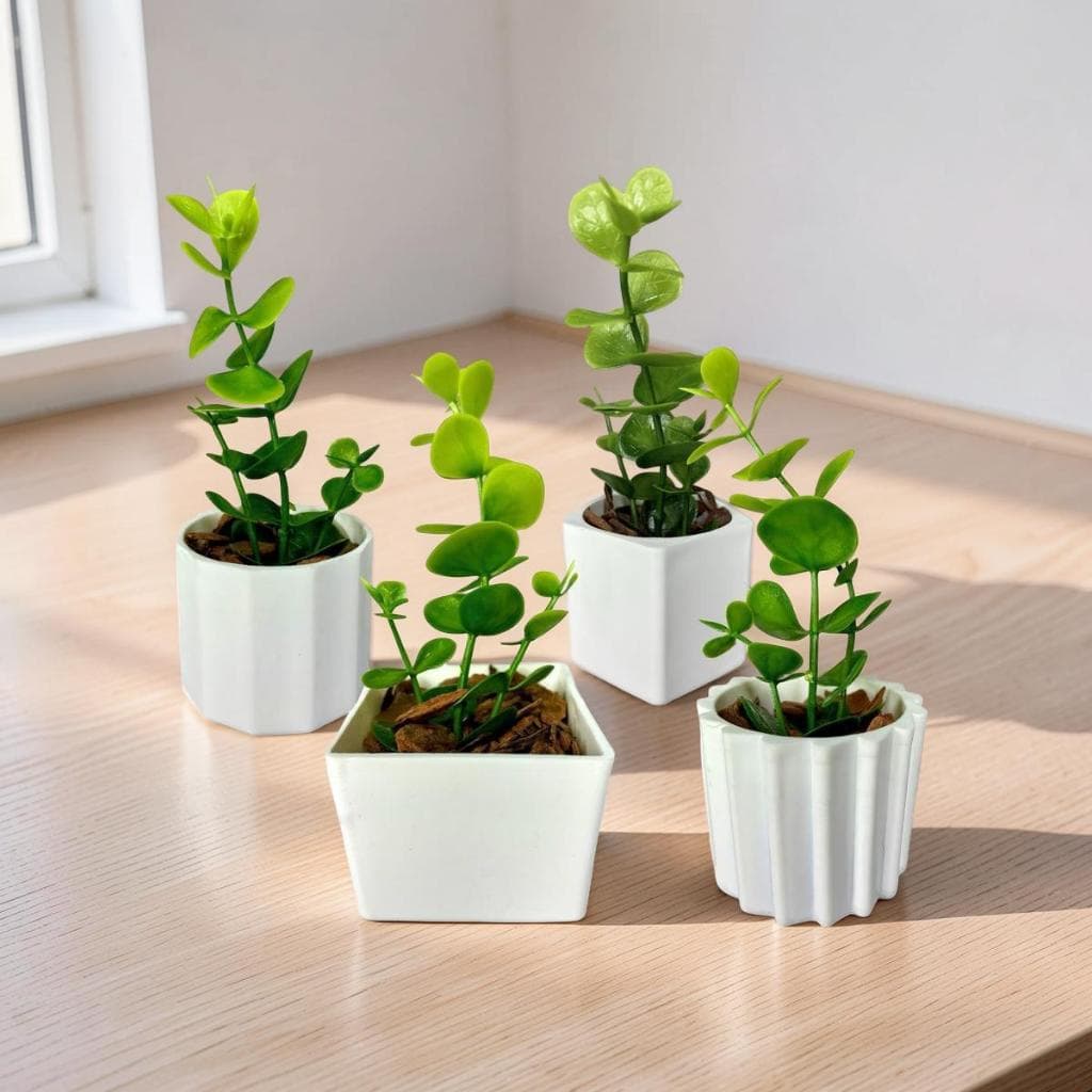 Kit Mini Vasinhos com Plantinhas