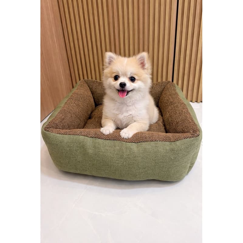 Cama Pet 55x55 Confortável Para Cães e Gatos – Várias Cores 🐶🐱