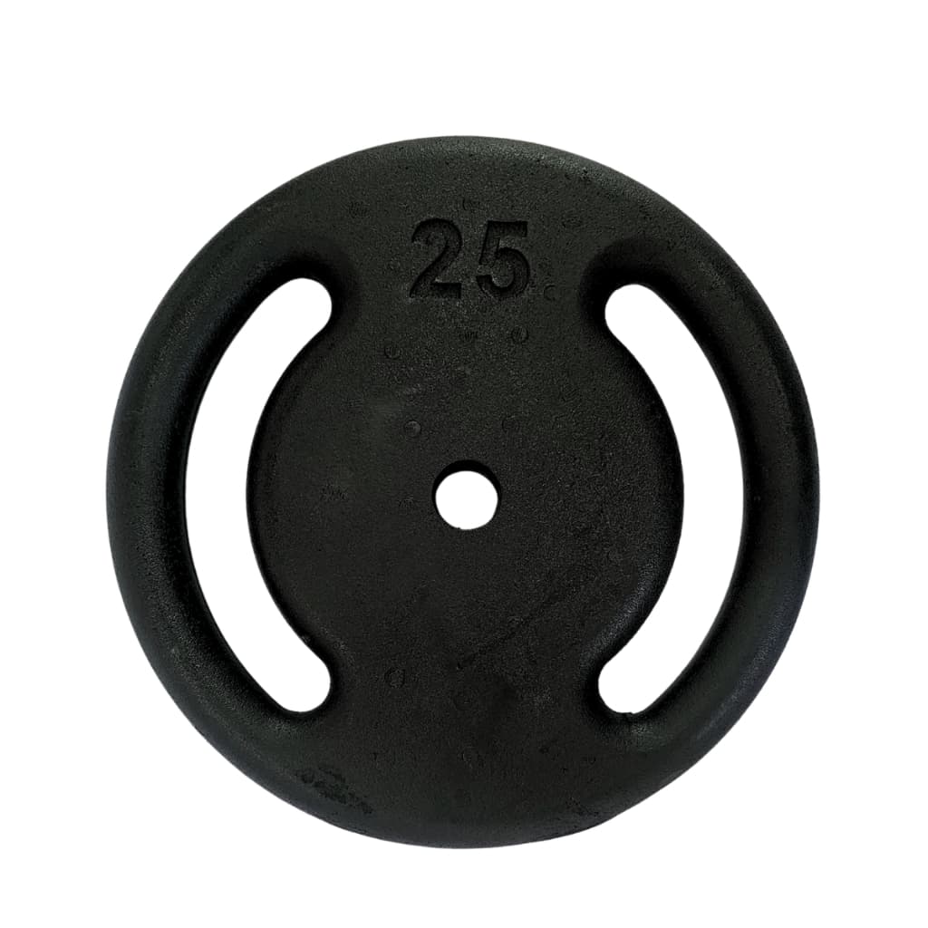 Anilha 25kg Pintada Ferro Fundido Profissional para Musculação Levantamento de Peso Casa Fitness