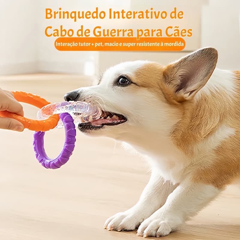 Brinquedo Interativo Mordedor para Cães 3 Anéis em TPR Cabo de Guerra Limpeza Dental Antiestresse