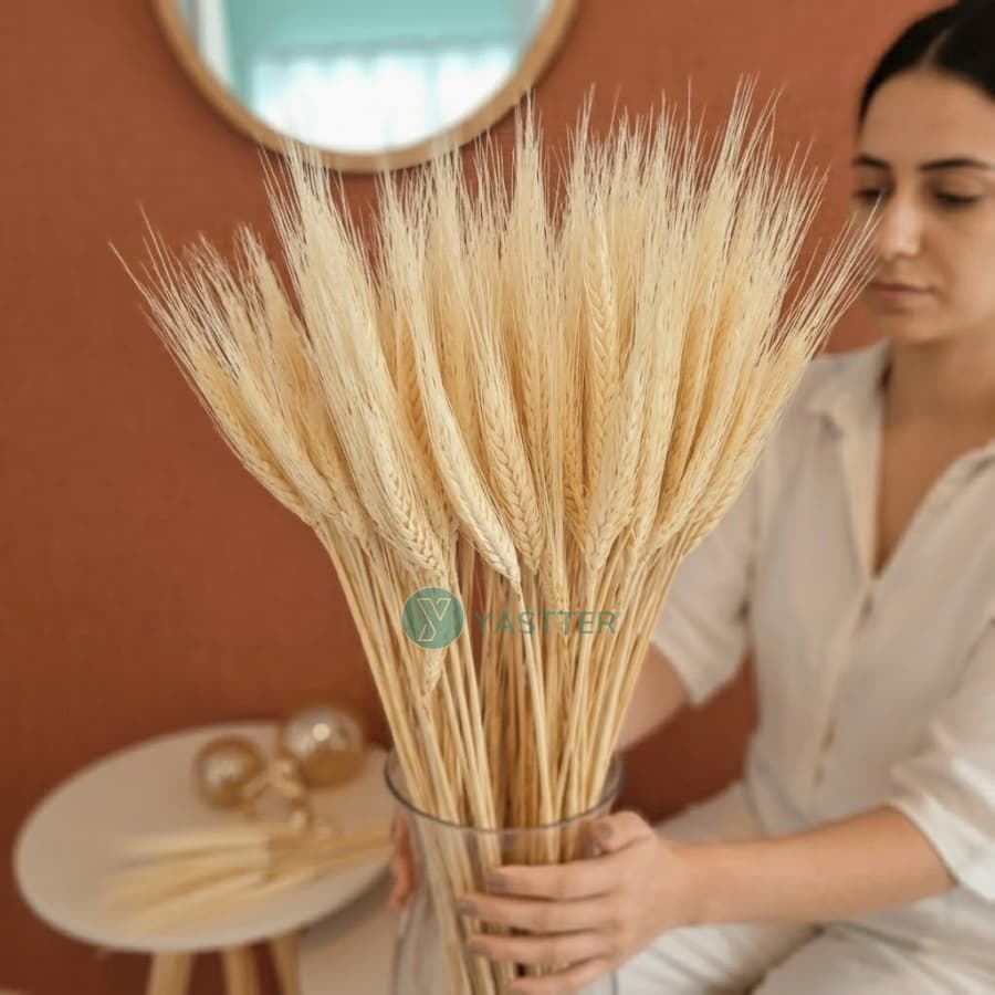 Trigo Seco Natural 400/200/160/80/40 Hastes De Trigo | Flor Seca P/Decoração e Arranjos