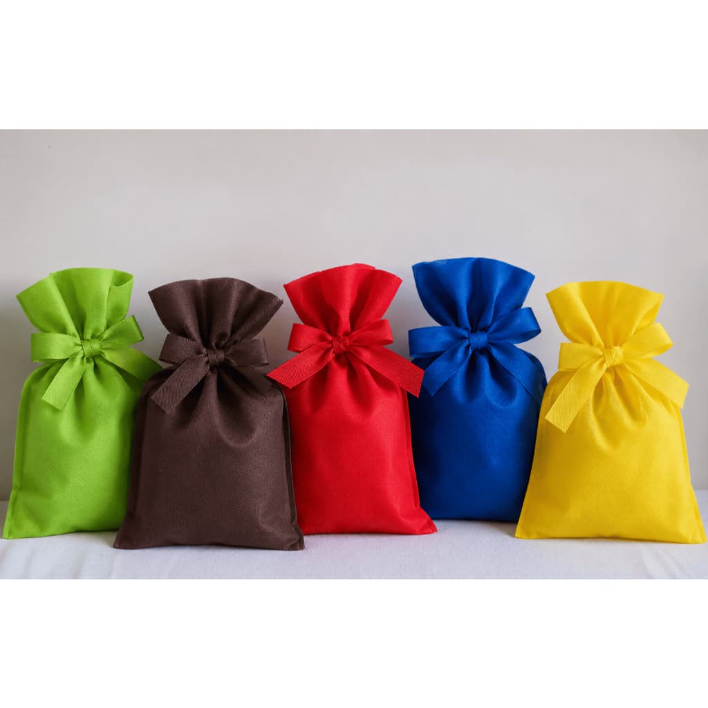 Kit Sacolinhas TNT Festa 13x23 Embalagem para Brindes 10 UNIDADES