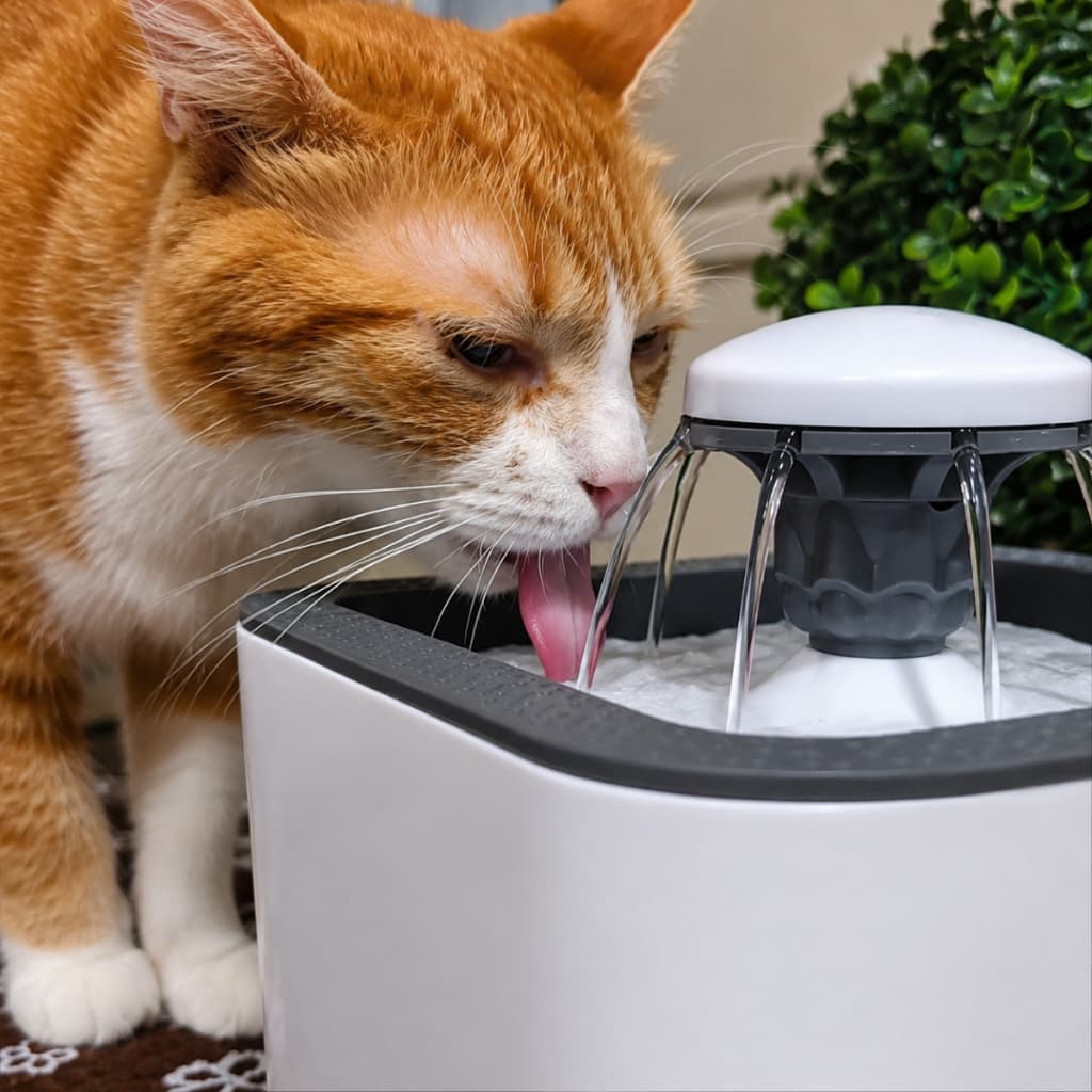 Fonte de Água Bebedouro Pet Elétrico Com Filtro Água Fresca 1,2L Cães e Gatos