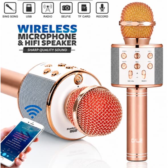 WS-858 - Microfone infantil de Karaoke Microfone de Brinquedo Sem Fio Bluetooth