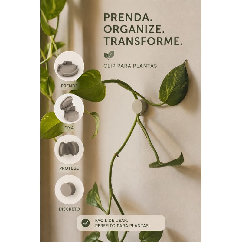 Kit Gancho Adesivo Planta Trepadeira Gancho Adesivo Ponto Invisível Conduzir Fixação Trepadeira