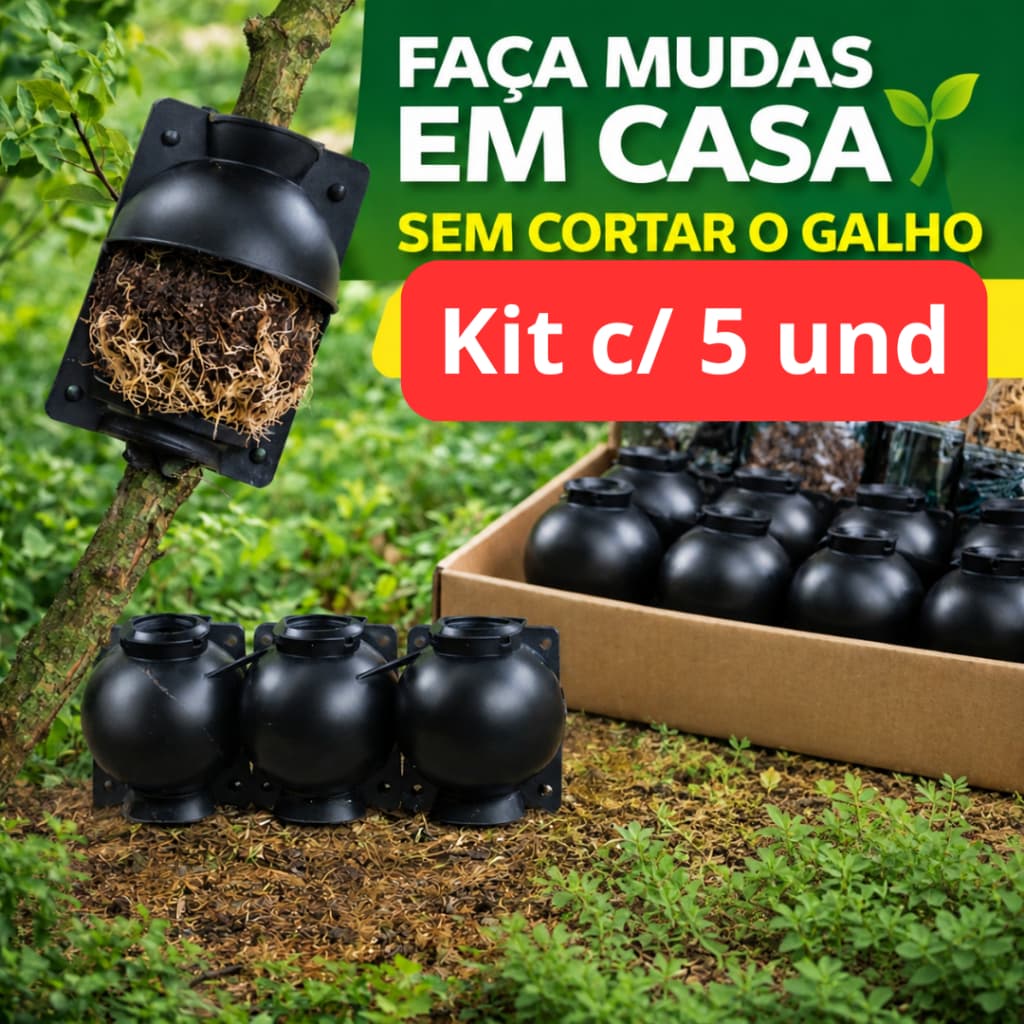 kit 5 Unidades Esfera enxerto Para Clonar Plantas Alporquia