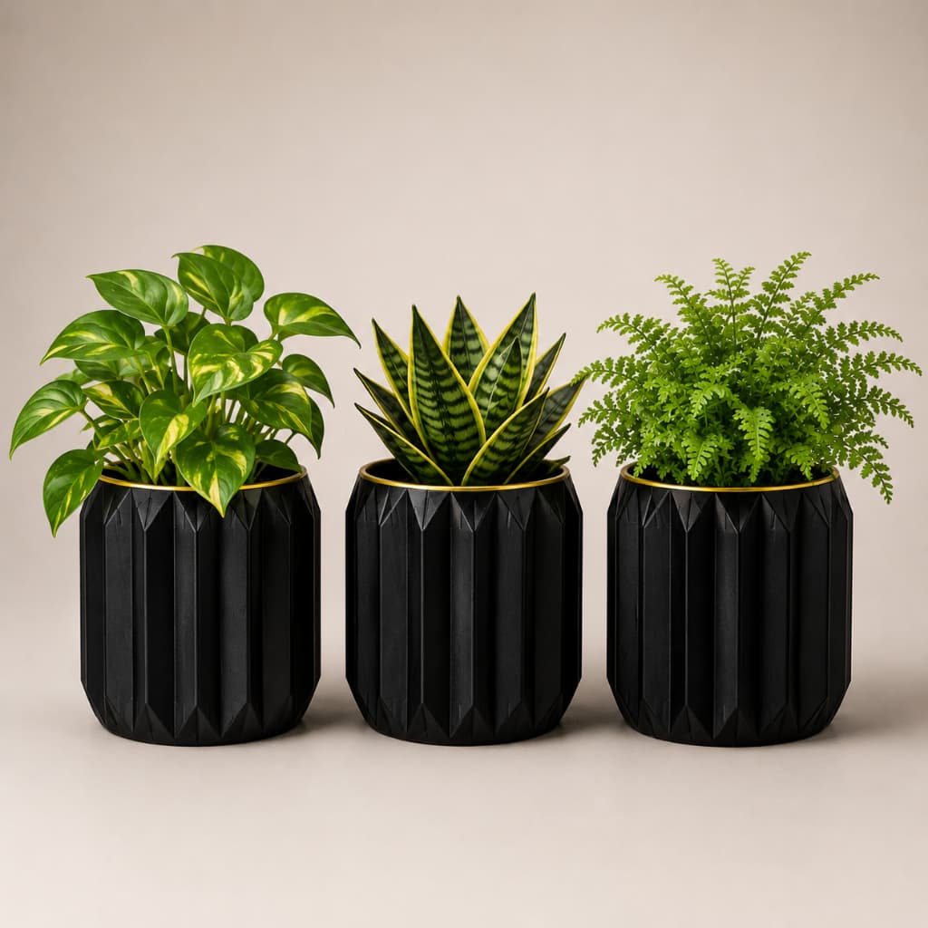 Kit Vasos Cachepô com fio dourado Minimalista para suculentas e pequenas plantas com dreno sofisticado luxo