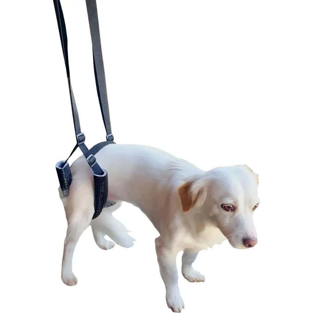 Suporte Quadril  Suspensor Traseiro Cachorro Deficientes Órtese Regulável Fisioterapia