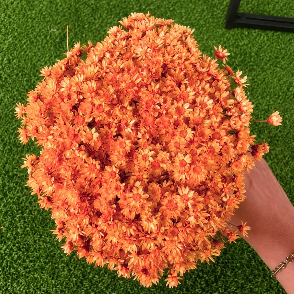 Flor Sempre Viva Salmão Desidratada Buquê Aprox 200 Flores Para Decoração Casamento Mesa Posta