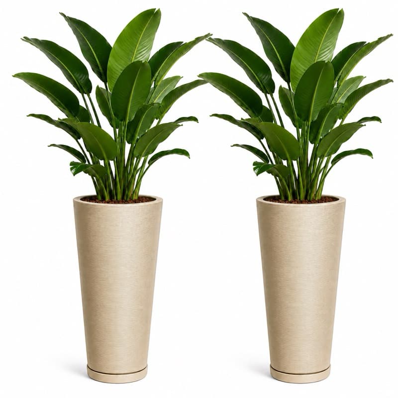 Kit 2 Vasos Grandes para Plantas Decorativos Polietileno Premium Sala e Jardim