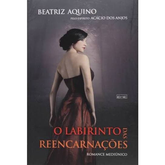 Livro Usado Romance Espirita O Labirinto das Reencarnações - Beatriz Aquino