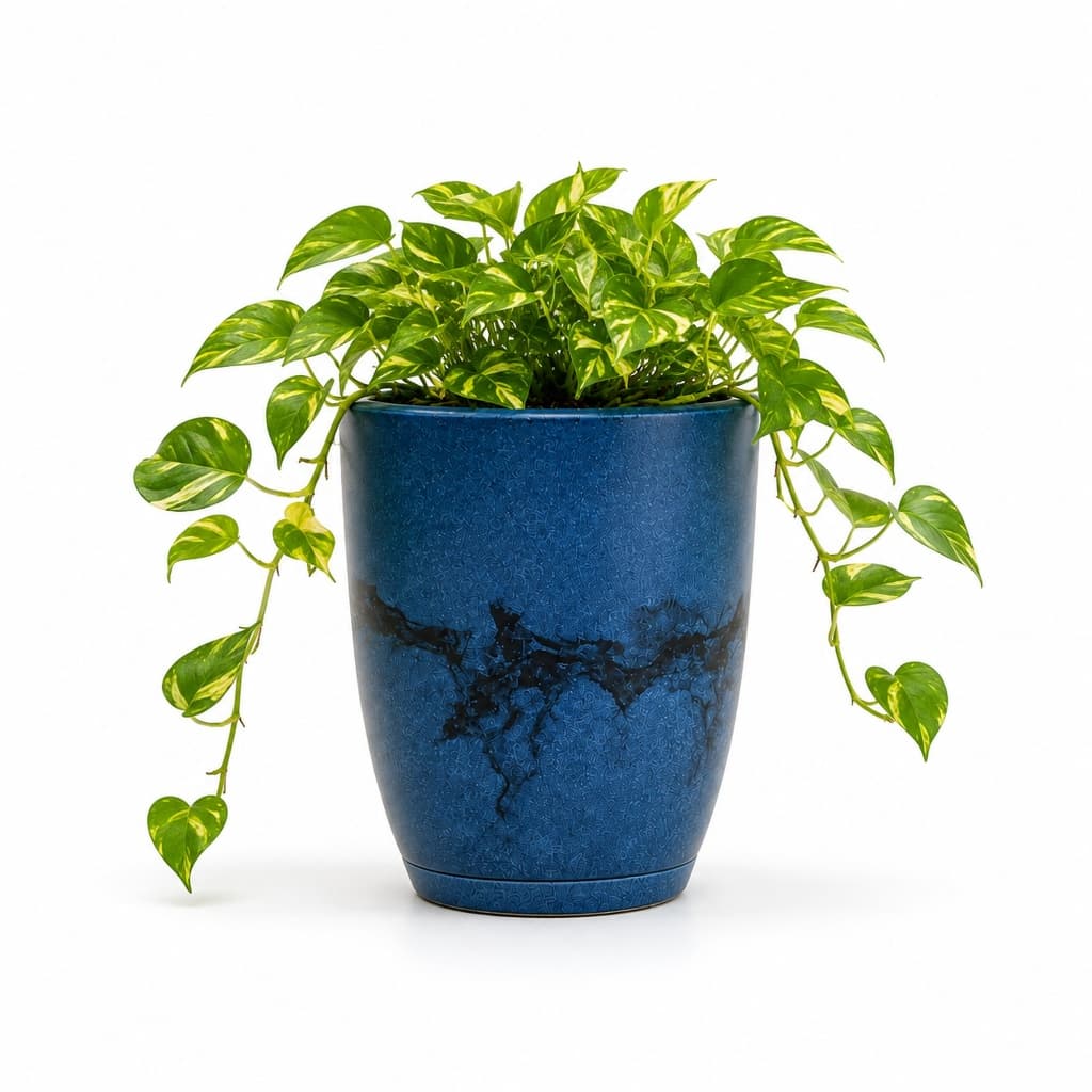 Vaso para Planta Coluna Lisa Marmorizada Moderna N1 com Prato