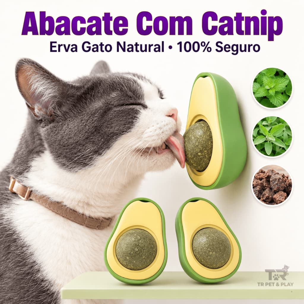 Kit Abacate Catnip para Gatos Brinquedo Interativo Erva de Gato Natural com Adesivo para Parede