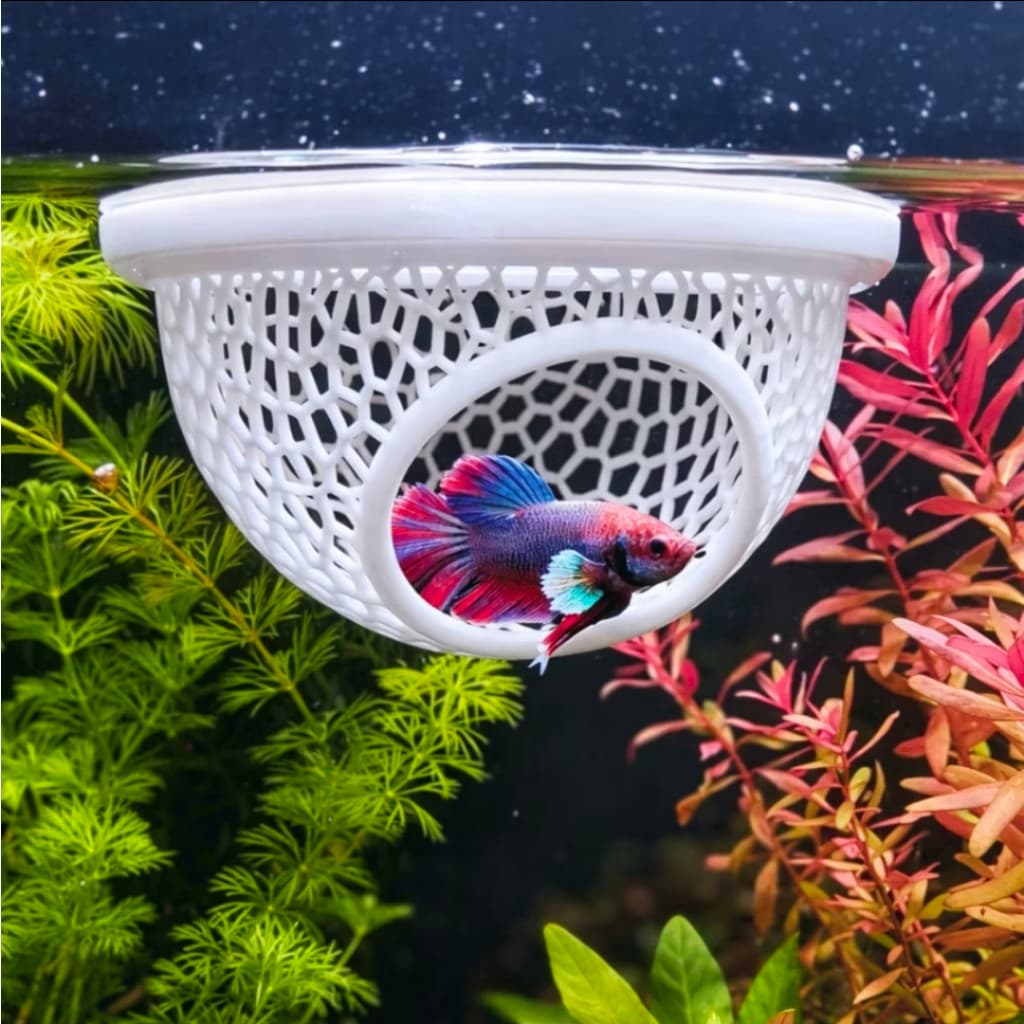 Toca Esconderijo Flutuante Betta Cama Descanso Folha Peixe Aquario Decoracao Aquarismo Pet Anti Stress