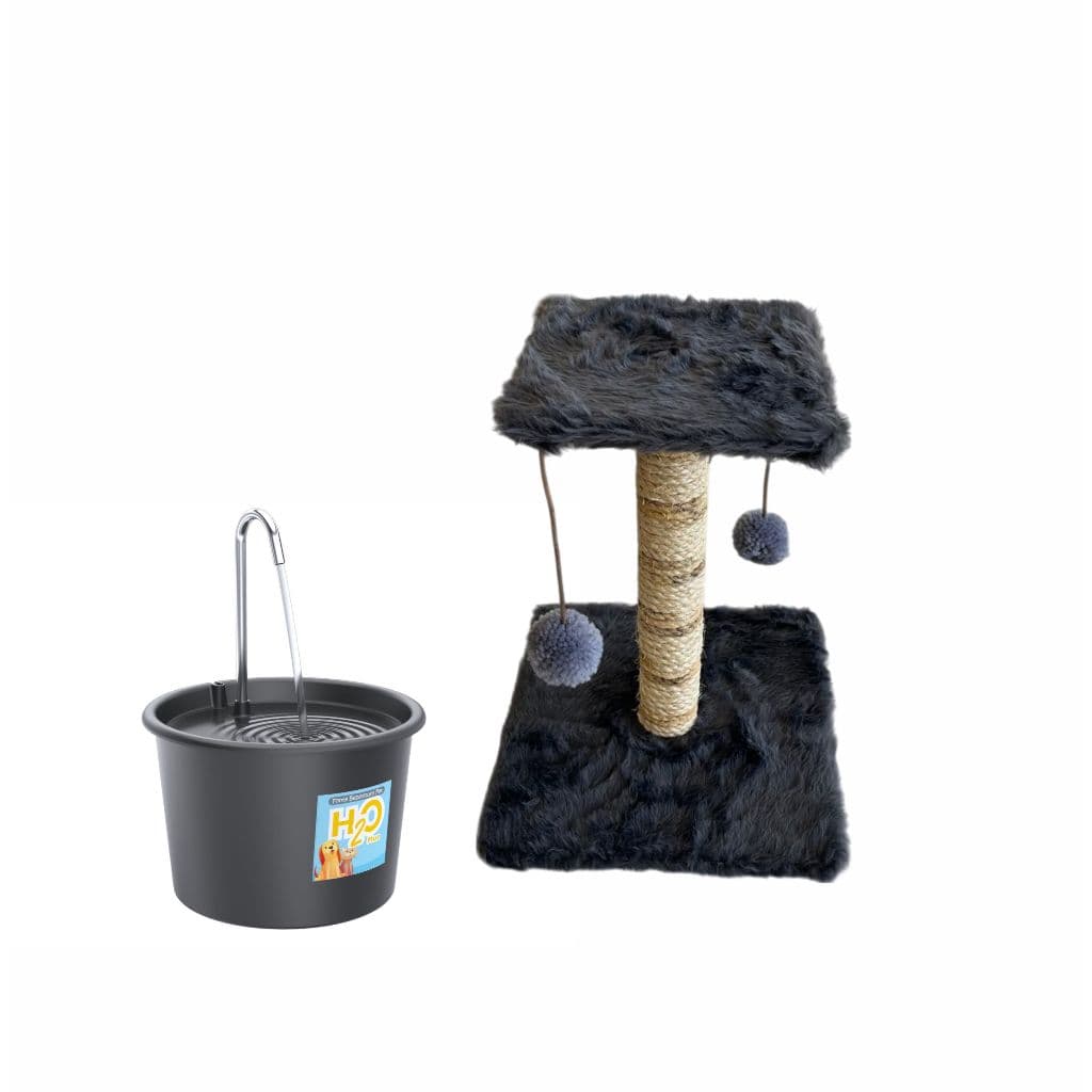 Kit Arranhador de Gato Estilo Poste + Fonte para Gatos H2o PLus 1,5 Litros
