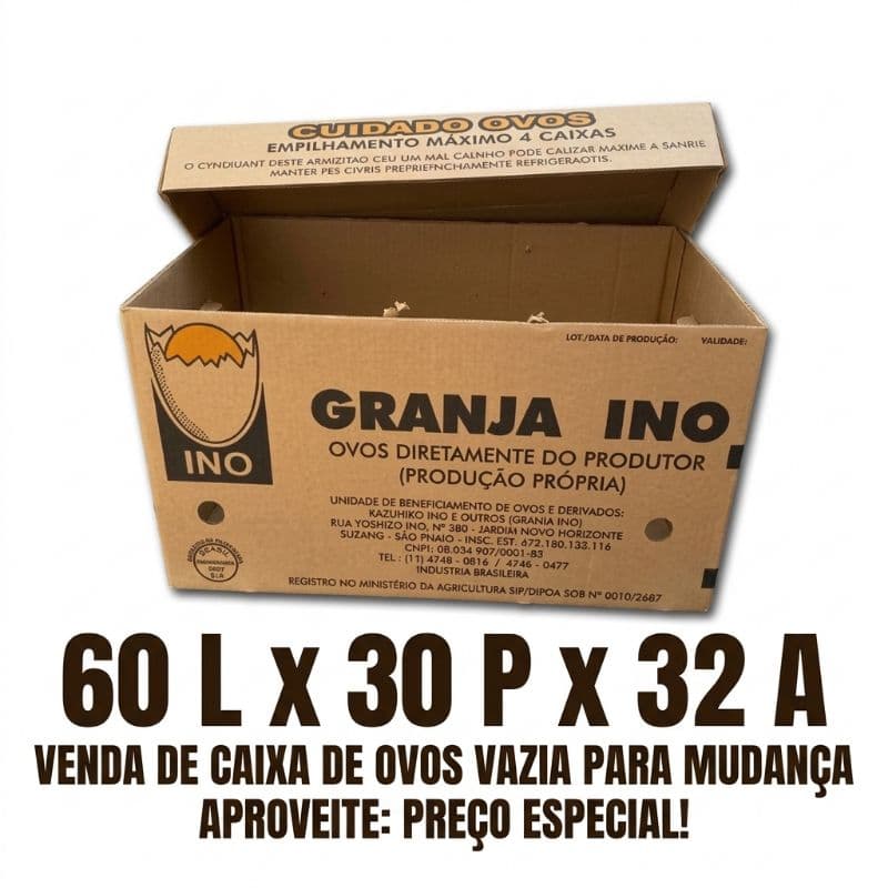 Caixa de Papelão Grande Vazia 60x30x32 cm Kit 3 5 10 Unidades Caixa Reforçada Transporte Mudança Armazenamento Embalagem
