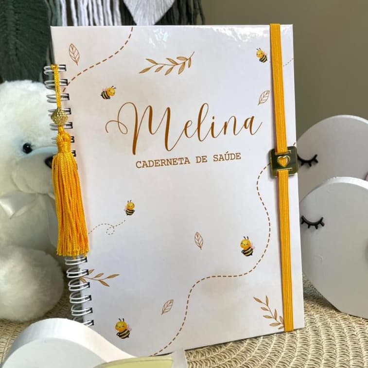 CADERNETA DE SAUDE VACINAÇAO PERSONALIZADA LUXO MENINA ABELHINHA