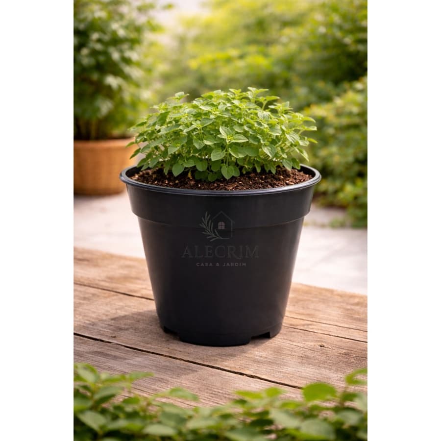 Kit Vaso de Planta Pote 17cm 2,3 Litros Para Suculentas Flores Mudas Orquídeas Jardim