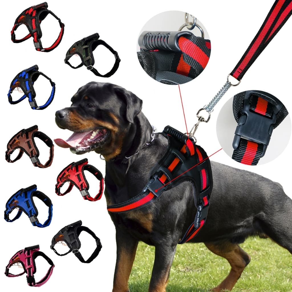 Peitoral Cachorro com Guia X Stillo P M G Material Premium Resistente Ajustável