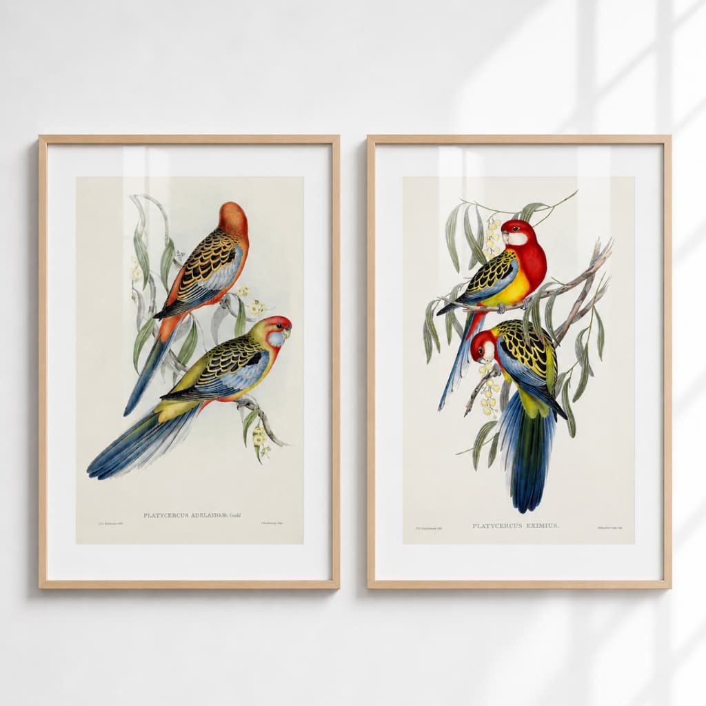 Duo Quadros Pássaros Decoração Moderna Artesanal Moldura e Vidro