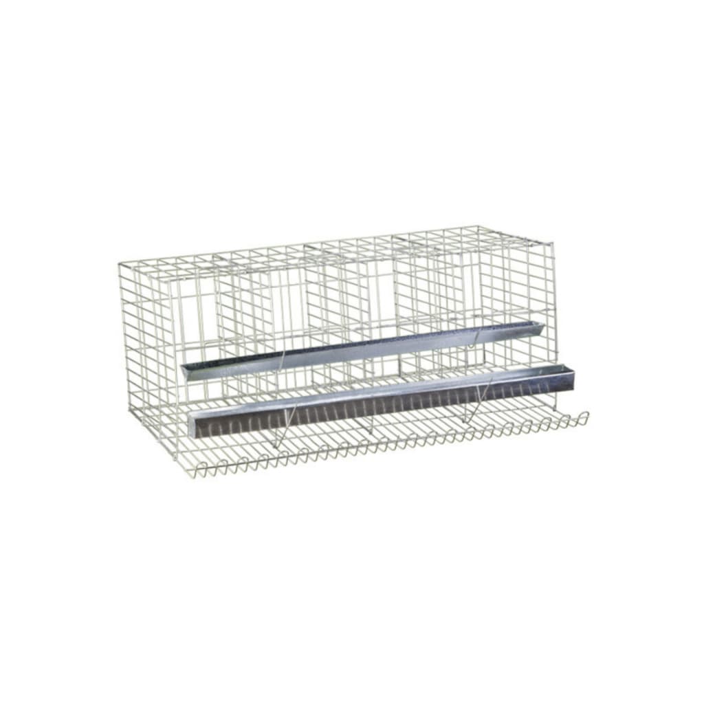 Gaiola Galinha Poedeira - P026