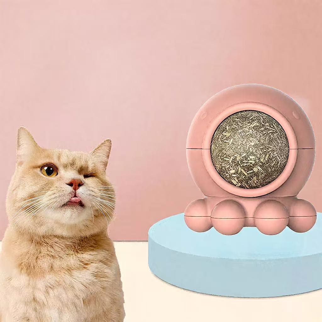 Brinquedos Para gatos Interativo Polvo(com e Erva Catnip Gato)Lambe Bola de brinquedo Limpa Dente