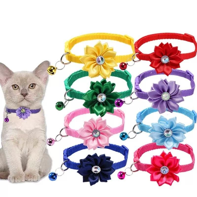 Coleira Animais Para Pet Gatos e Cachorros Cães com Sino Flor Passeio Detalhes