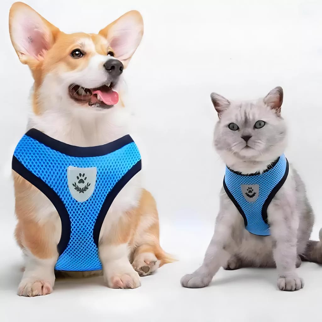 Arreios para Cães e Gatos com Malha Respirável e Ajustável