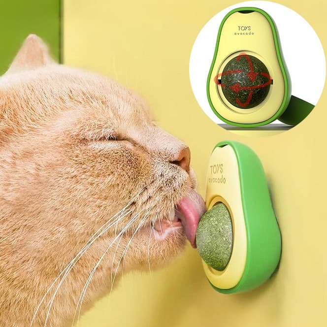 Brinquedo Para Gatos Abacate Com Catnip Suave Erva Gato Natural Interativo