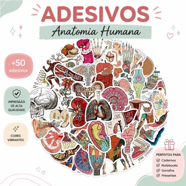 Kit Adesivos stickers Anatomia Humana Orgãos p/ planner scrapbook journal caderno agenda medicina saúde enfermagem