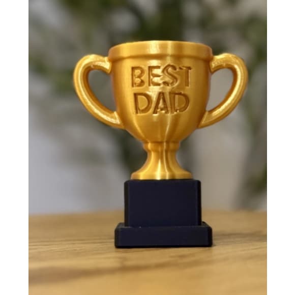 Melhor Troféu de Pai | Dia dos Pais 2026 | Troféu Decorativo | Impressão 3D | Presente Criativo