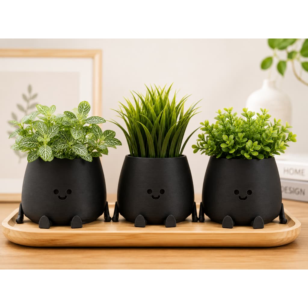 Kit 3 Cachepôs Decorativo para Suculentas com Rostinho e Pés | Vaso Moderno