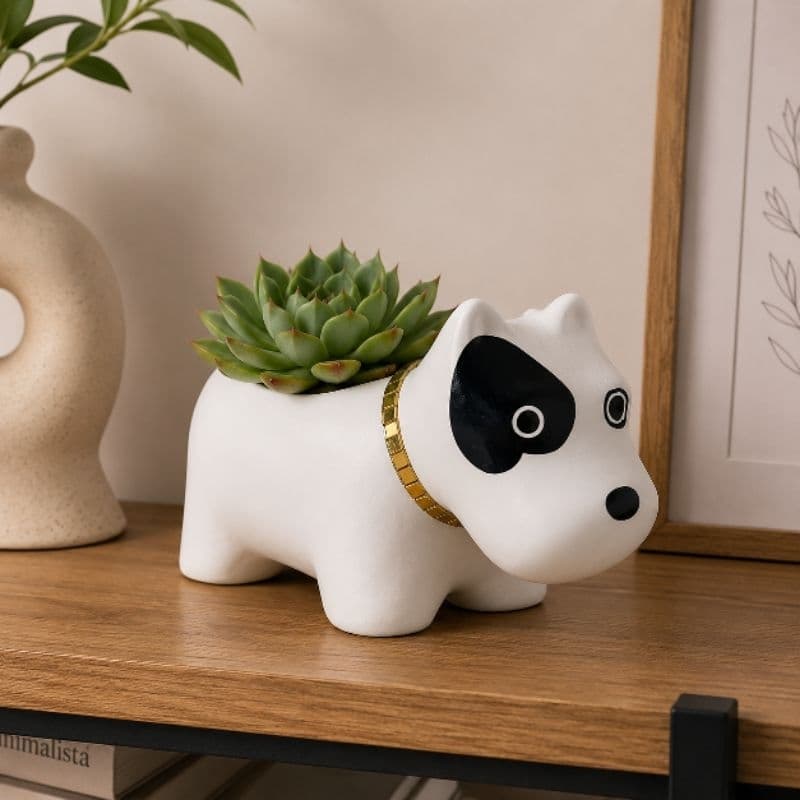Vaso Cachepot Pitbull mancha Preta para suculentas sala Premium