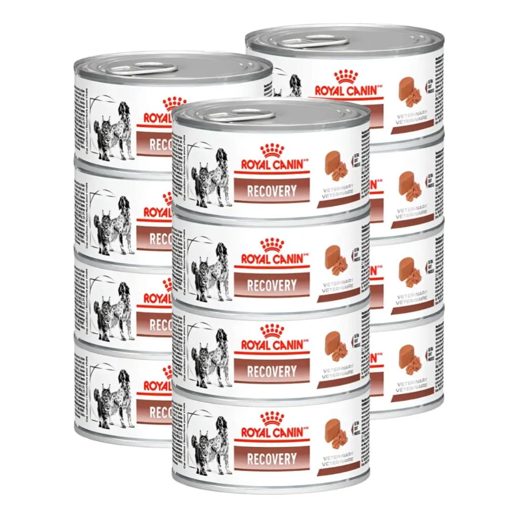 Kit 12 Ração Úmida Royal Canin Recovery Cães Gatos 195g