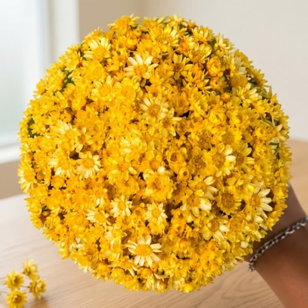 Flor Sempre Viva Amarela Desidratada Buquê Aprox 200 Flores Decoração Arranjos Mesa Posta Eventos