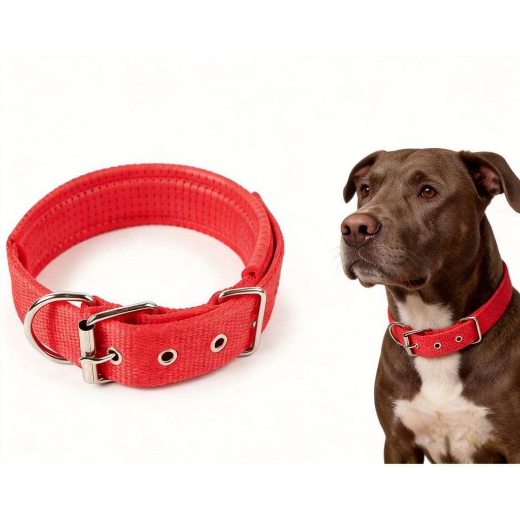 Coleira Grande Porte E Pescoco Caes Durável Para Pitbull Azul Gg