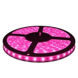 Fita Led rosa 5 Metros 2835 C/silicone fita de led 12V 120 leds