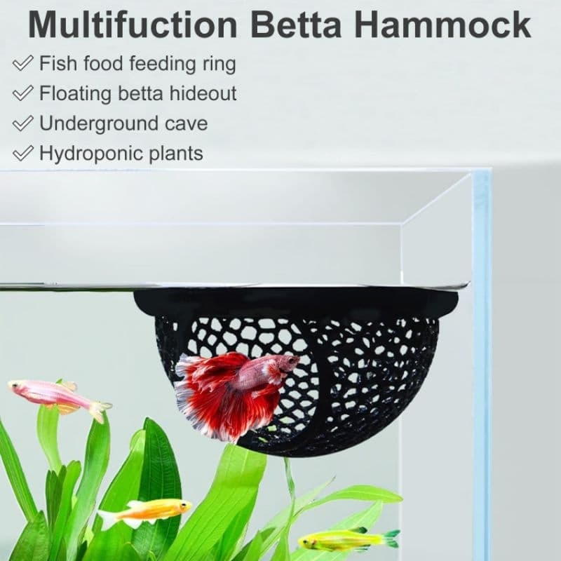 Toca Flutuante para Peixe Betta - Conforto, Estímulo e Design Versátil