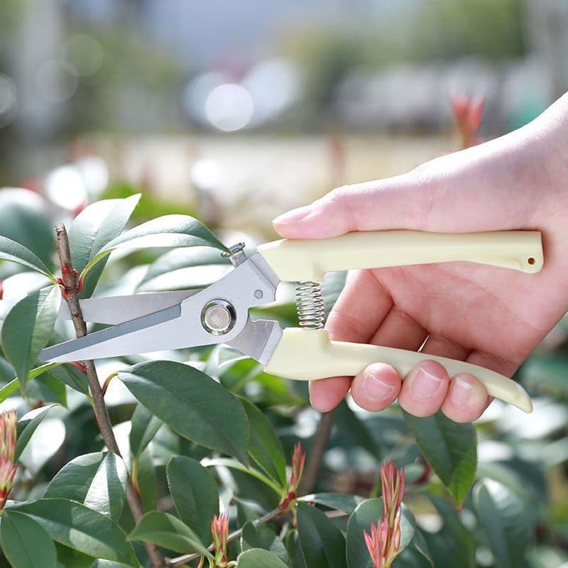 Tesoura de Poda Precisa - Super Afiada para Tarefas de Jardinagem