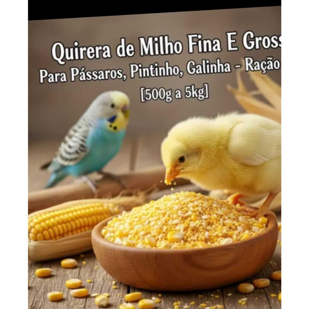 QUIRELA MILHO 2KG FINA, MEDIA OU GROSSA PARA ALIMENTAÇÃO ANIMAL