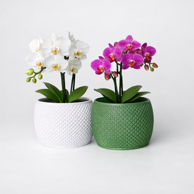Vaso Cachepot para Flores  - Vaso Decorativo Multiuso