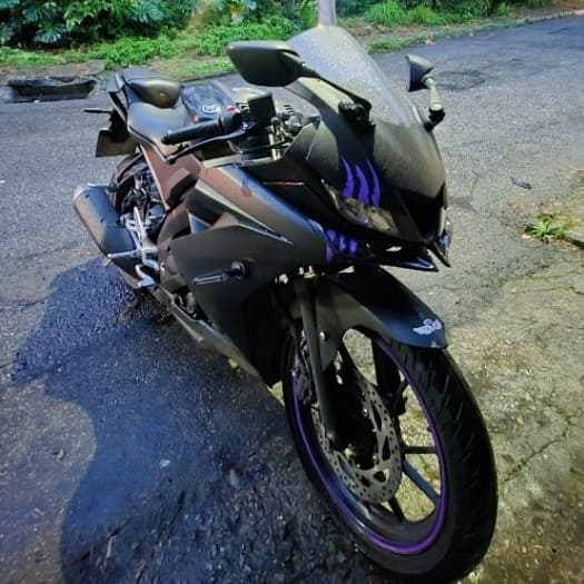 Adesivo - Roxo - Garras para capacete