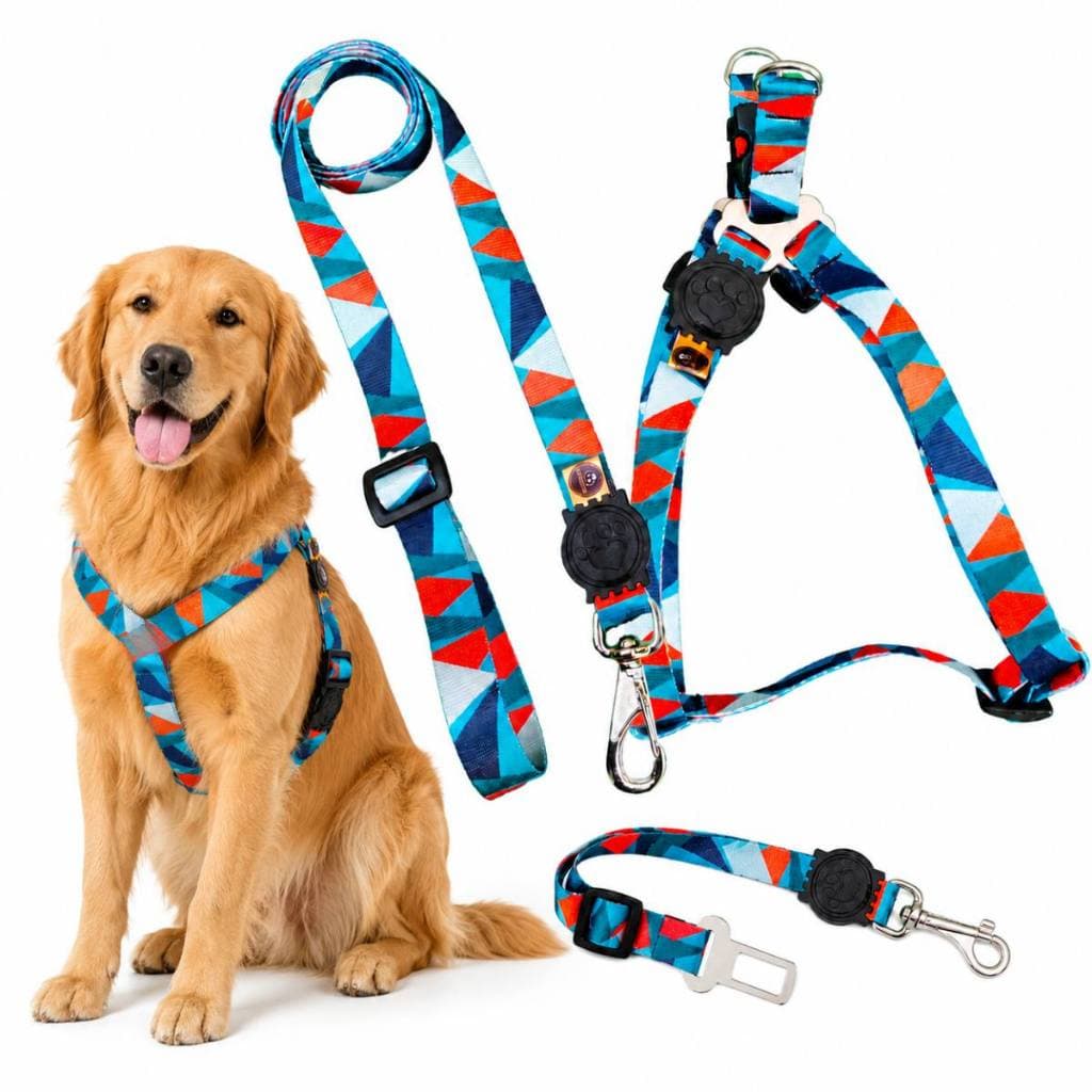 Kit Coleira Peitoral Veste Fácil E Cinto de Segurança Para Cachorro Porte Grande Seguro e Resistente