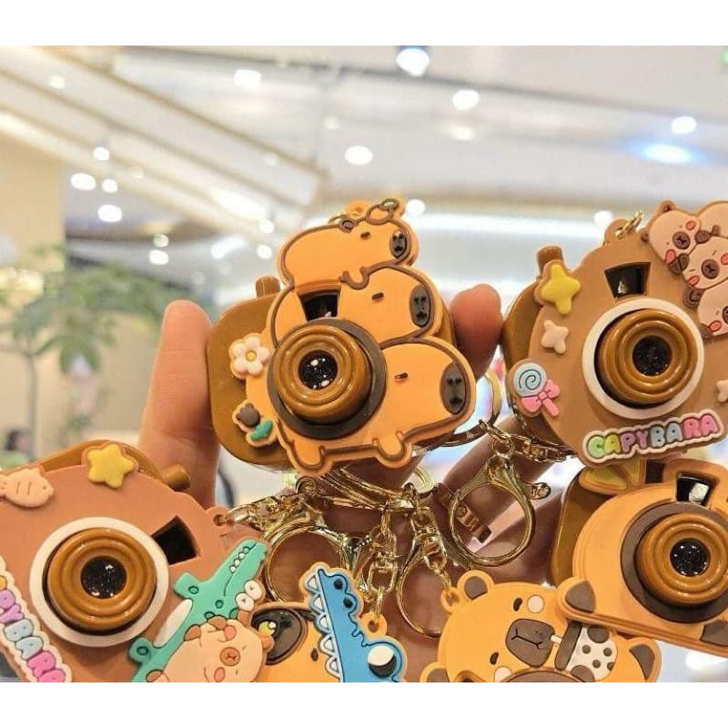 Chaveiro Capivara Com Projetor de Imagens